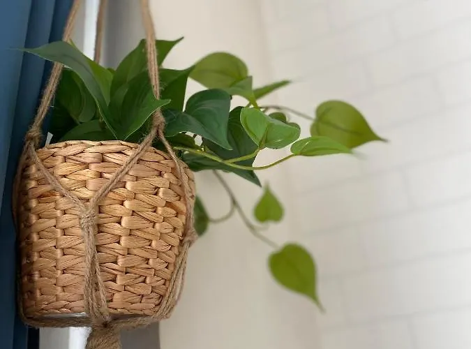 Apartamento Mestre Centro *